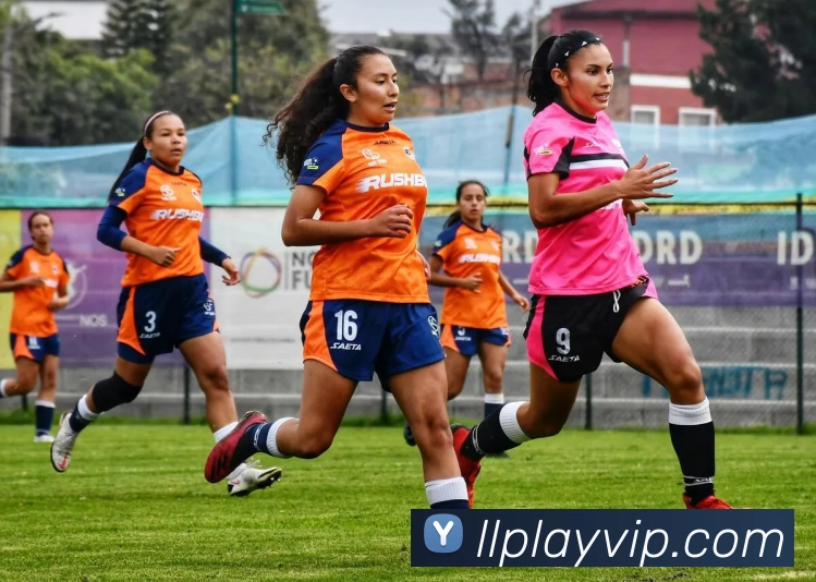 琳琅娱乐官网APP 高清赛事图