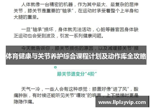 体育健康与关节养护综合课程计划及动作库全攻略